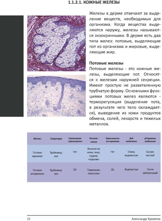 Книга "PRO цвет. Том 2"