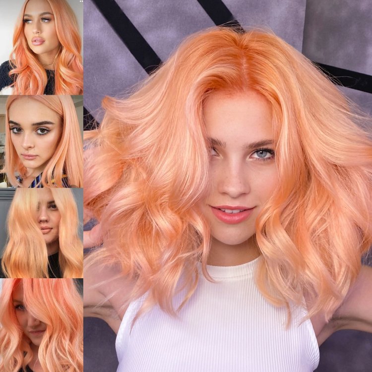 Курс "Цветовой круг для парикмахера"